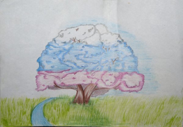 Рисунки на тему природа России карандашами