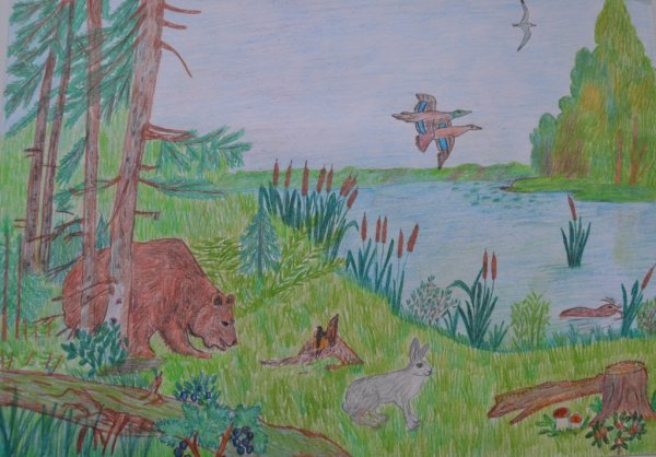 Пейзаж карандашом для срисовки