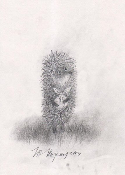 «Ёжик в тумане» Юрия Норштейна