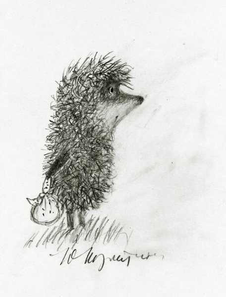Ежик в тумане карандашом