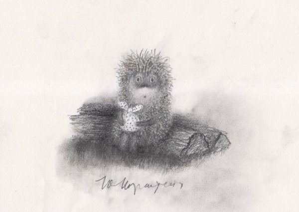 Марина Дормидонтова иллюстратор Ежик