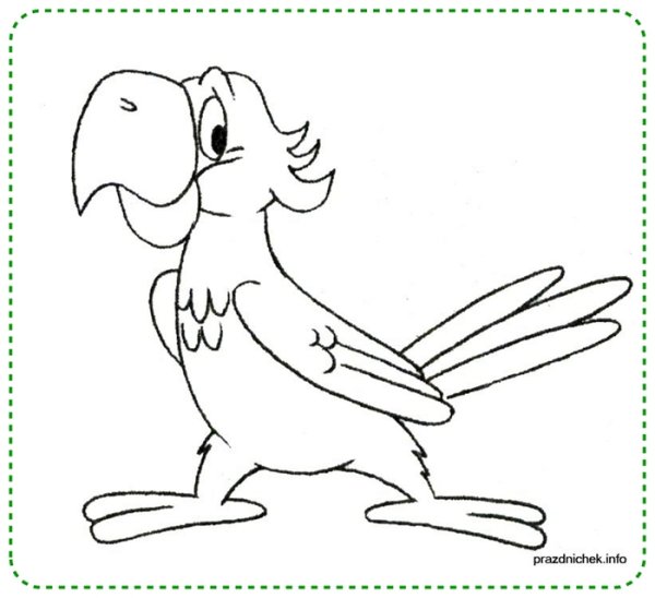 Попугай ара карандашом