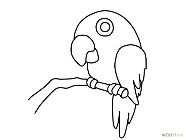 Ожереловый попугай раскраска