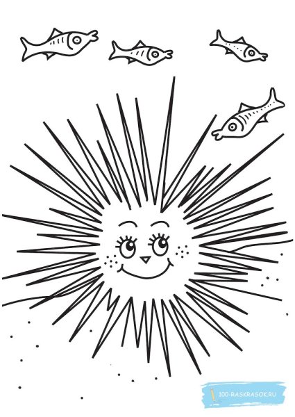 Морские Ежи раскраска