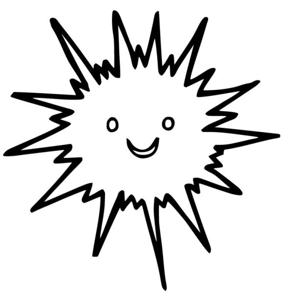 Морской еж Графика