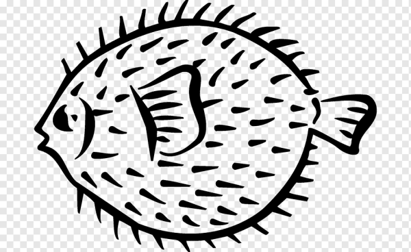 Рисование морские Ежи