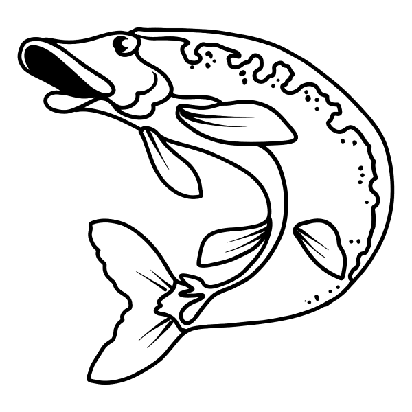 Рыба карандашом щука