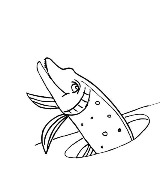 Щука раскраска для детей