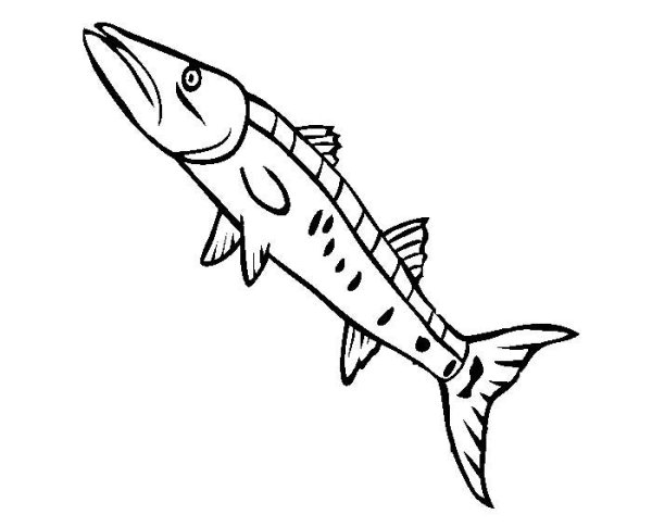 Раскраска Пресноводные рыбы для детей