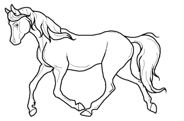 Бегущая лошадь раскраска