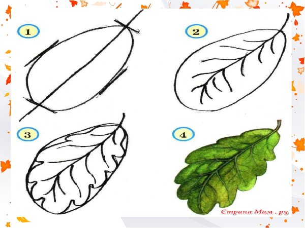 Листья деревьев раскраска