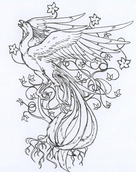 Птица кахна таджикская народная сказка