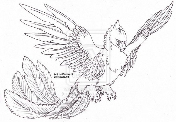 Рисование Сказочная птица