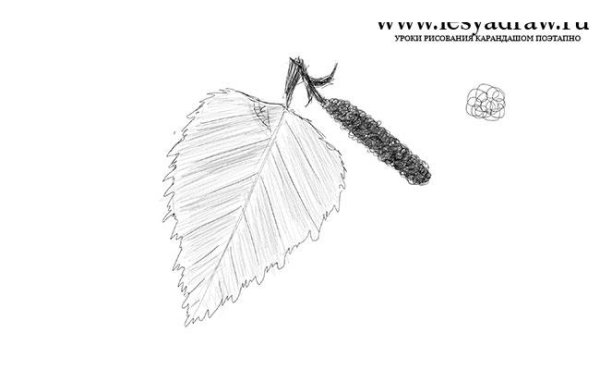 Листья шаблоны для вырезания маленькие