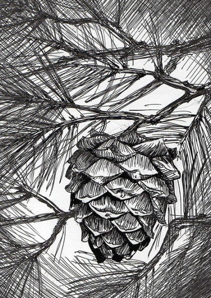 Эскиз шишки