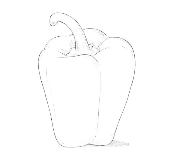 Рисунок сладкого перца