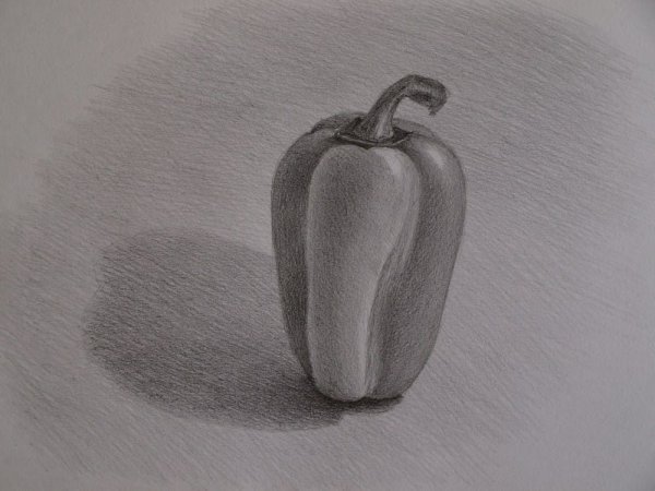 Болгарский перец карандашом