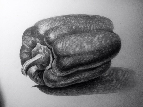 Болгарский перец карандашом