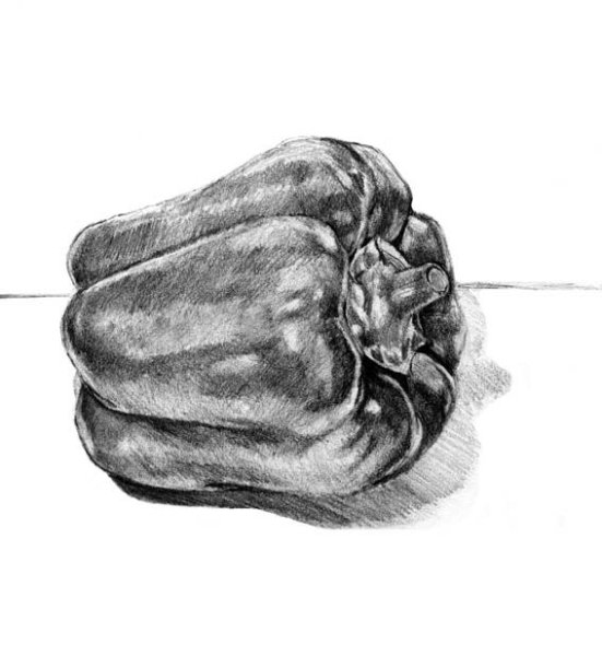 Болгарский перец карандашом