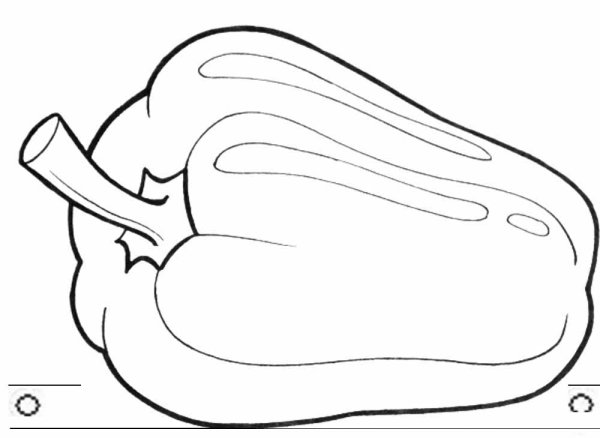 Кабачок раскраска для детей