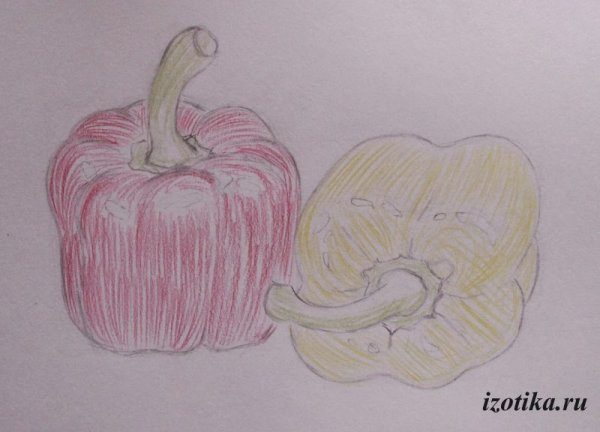 Перец раскраска для детей