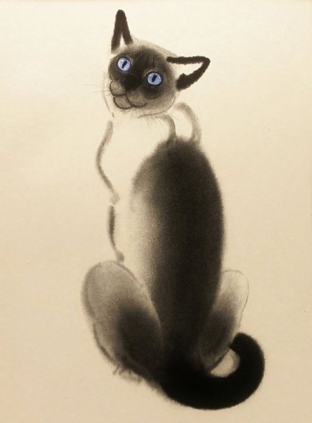 Мордочка кота пастелью