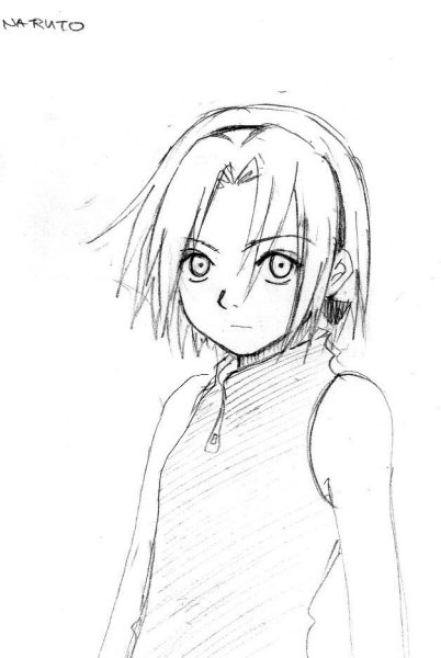 Сакура Харуно скетч