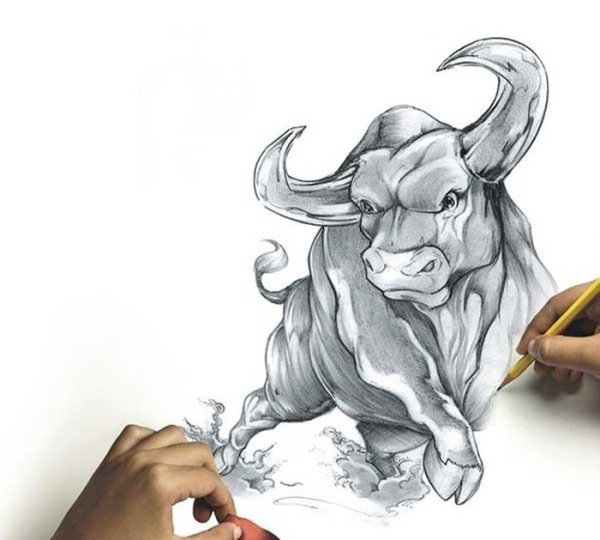 Бык рисунок