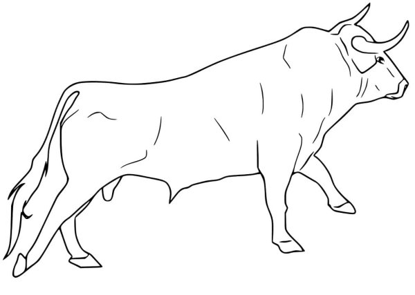 Бык раскраска для детей