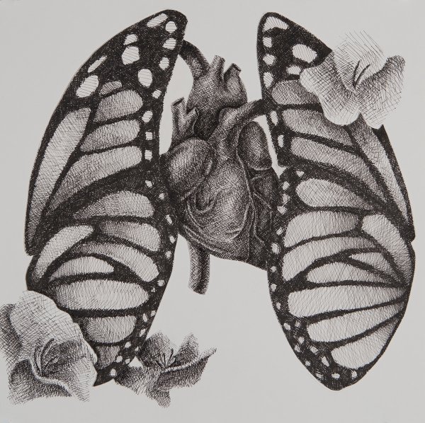 Бабочка огромная рисунок