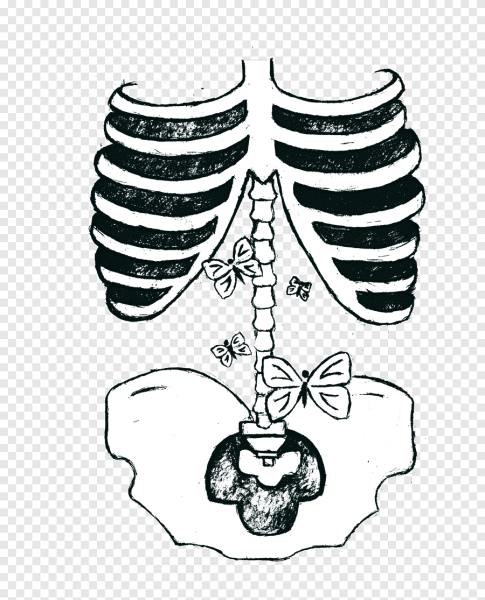 Наклейки биология черно белые