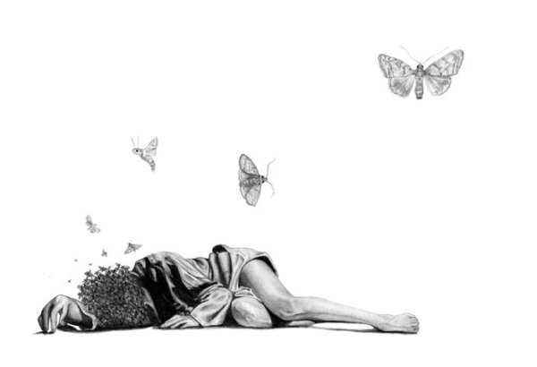 Бабочка в животе картинка силуэт