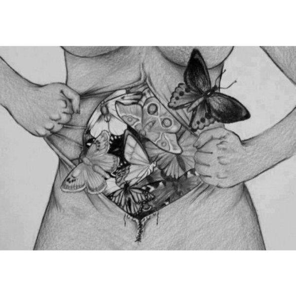 Зарисовка бабочки