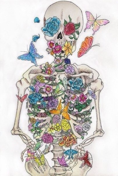 Бабочки в животе аниме