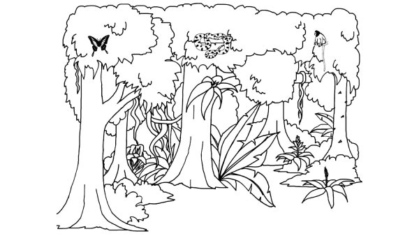 Дерево раскраска