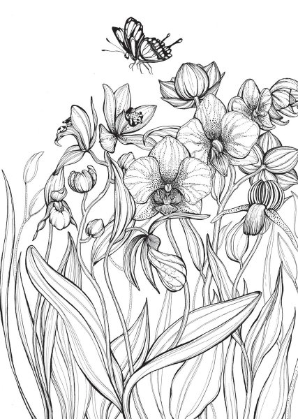 Рисунки цветов