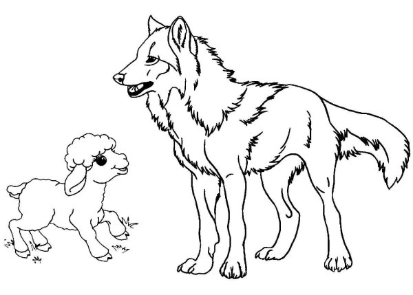 Раскраска волк