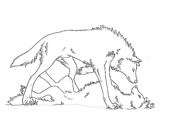 Лайны лежачего волка