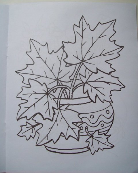 Осенний букет раскраска