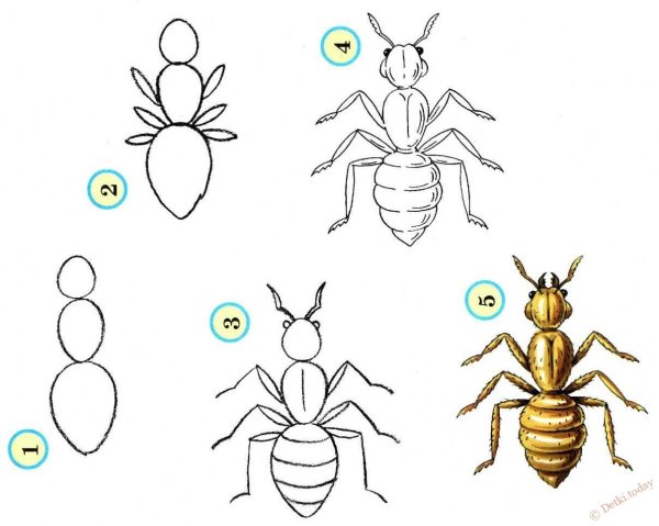 Насекомые задания для малышей