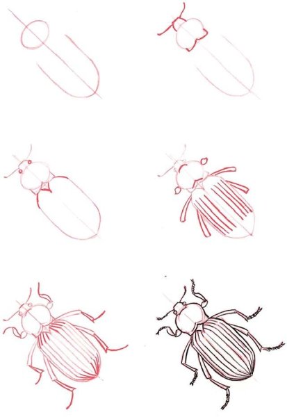 Контур насекомых для детей