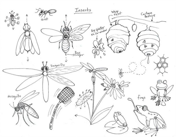 Жук бронзовка рисунок