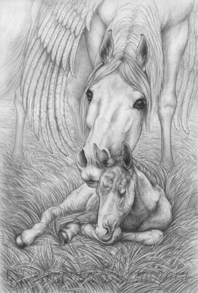 Рисунки карандашом