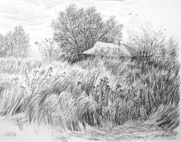 Зарисовки природы