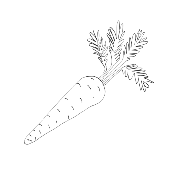 Морковь раскраска для детей