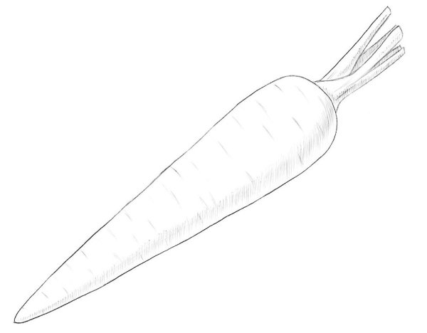 Морковка рисунок
