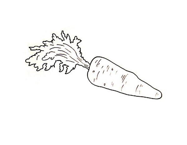 Поэтапное рисование овощей