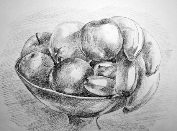 Натюрморт рисунок карандашом