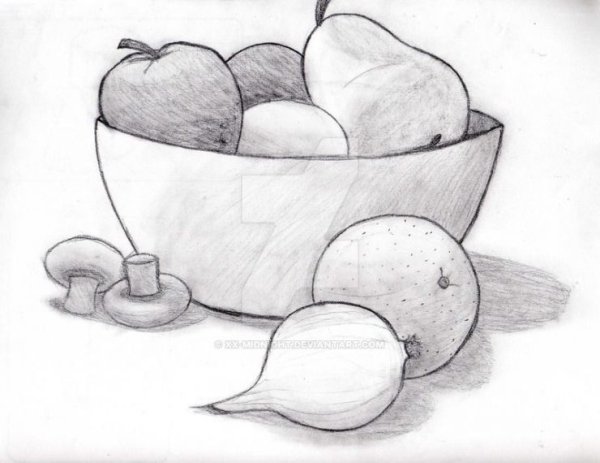 Натюрморт рисунок карандашом