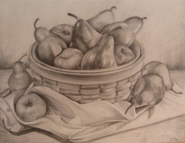 Натюрморт с фруктами карандашом